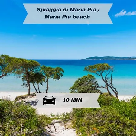 500m Dal Mare Con Aria Condizionata! Lejlighed *